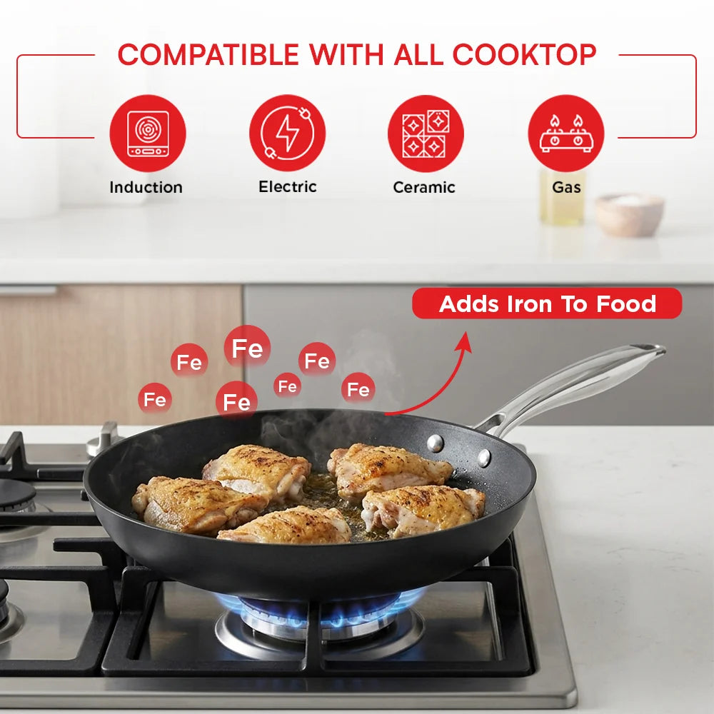 Vinod Ferona Cast Iron Frypan 24 cm – 1.5 L – Matte Enamel – Induction, Gas & Oven Compatible